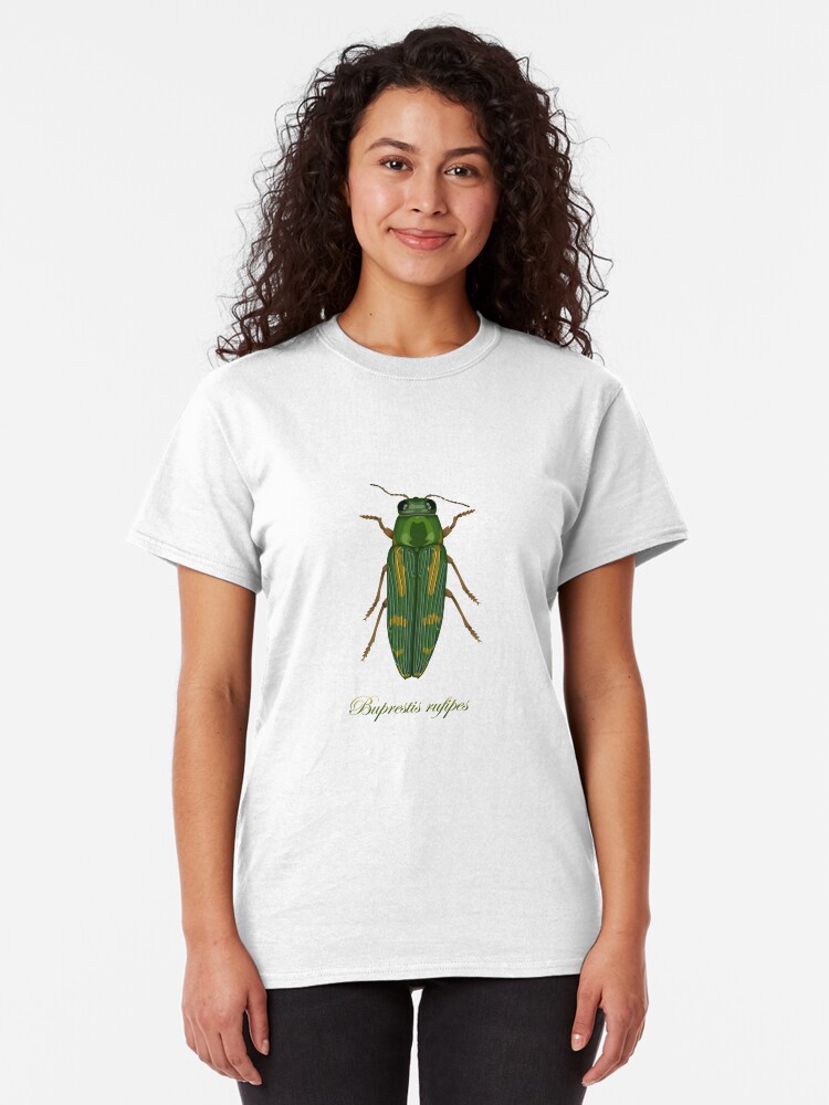 Alternate view of Buprestis rufipes - Red-legged Buprestis beetle Classic T-Shirt