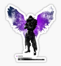 RAVEN Sticker