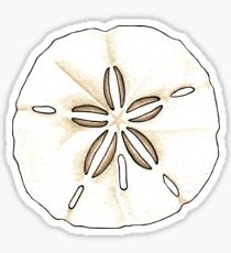 Sanddollars Sticker