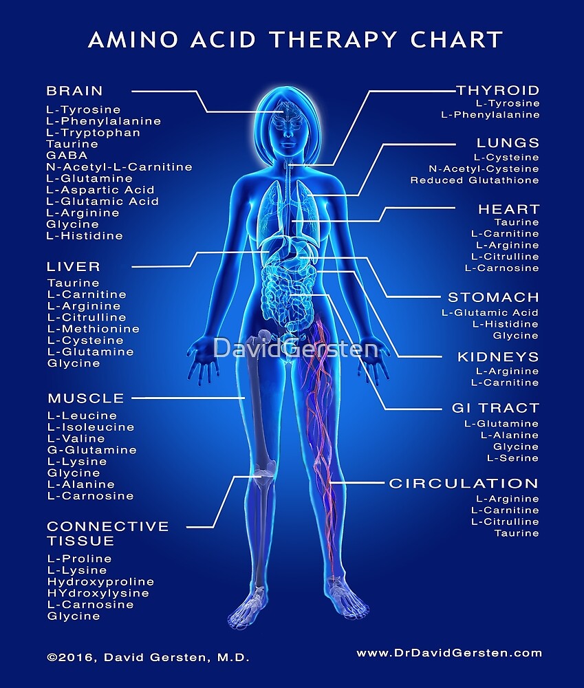 amino-acid-therapy-chart-by-davidgersten-redbubble