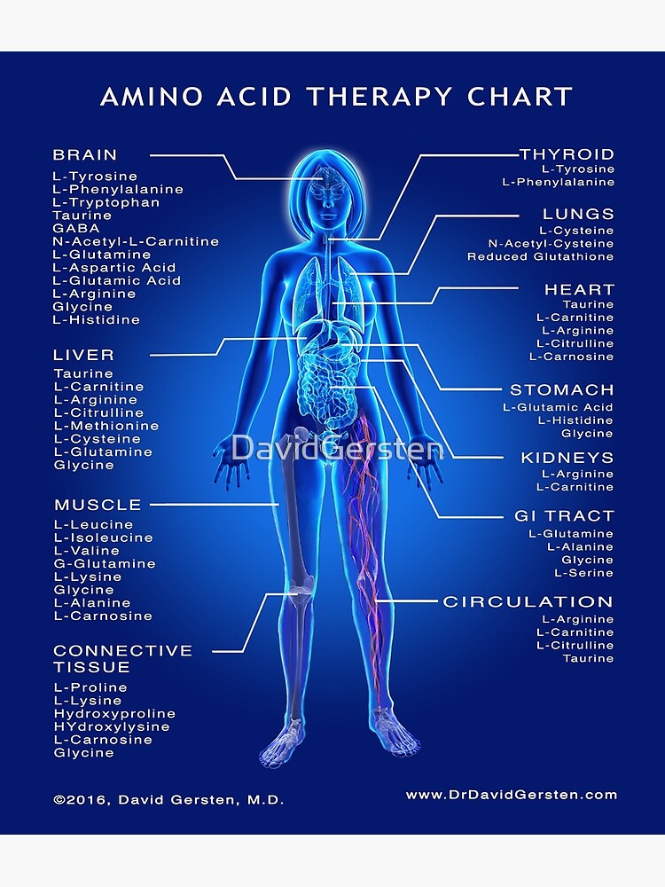 "AMINO ACID THERAPY CHART" Framed Art Print by DavidGersten Redbubble