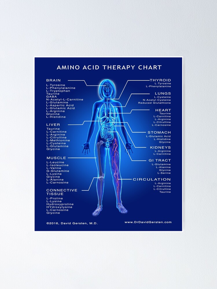 amino-acid-therapy-chart-poster-by-davidgersten-redbubble