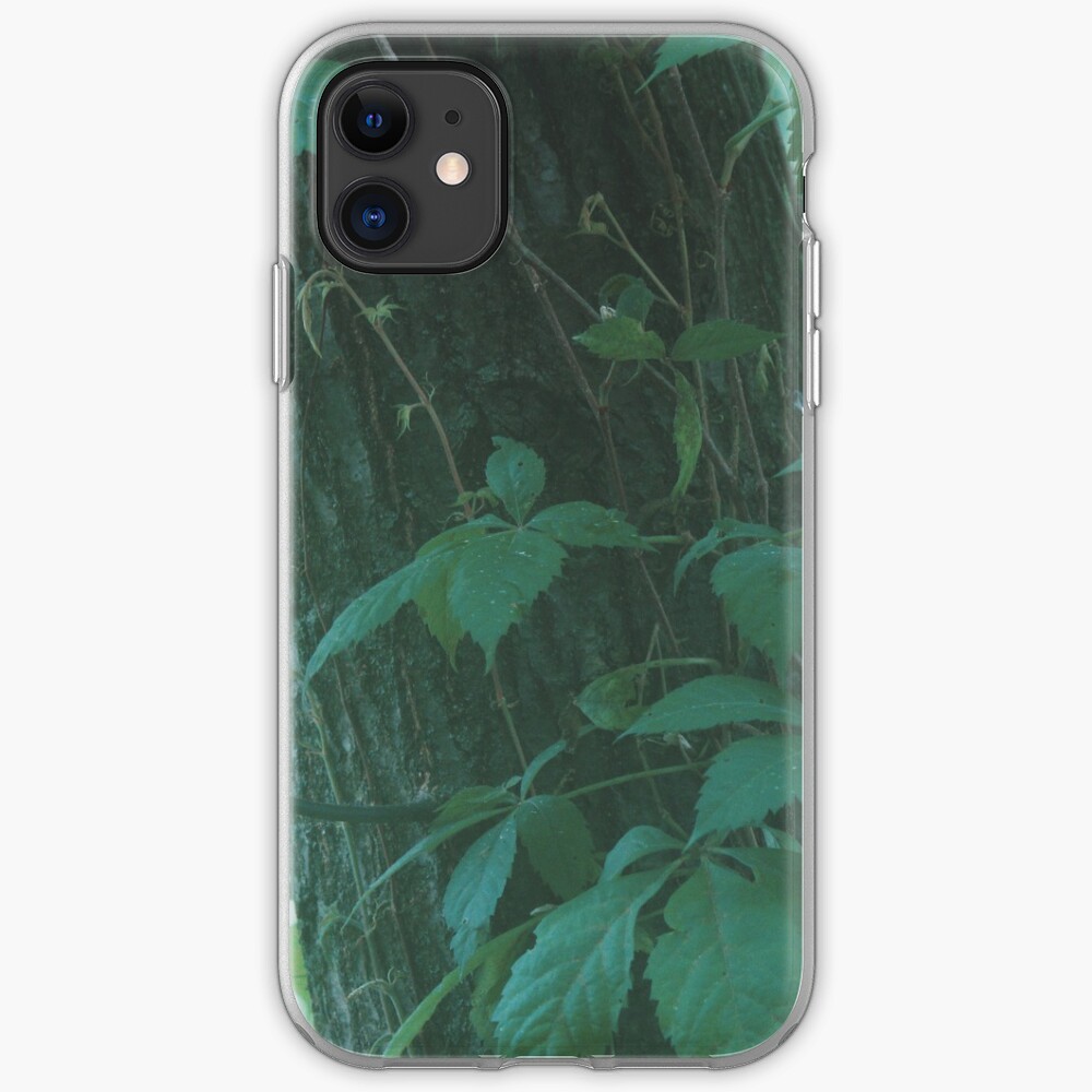 Foggy Forest iPhone Case & Cover