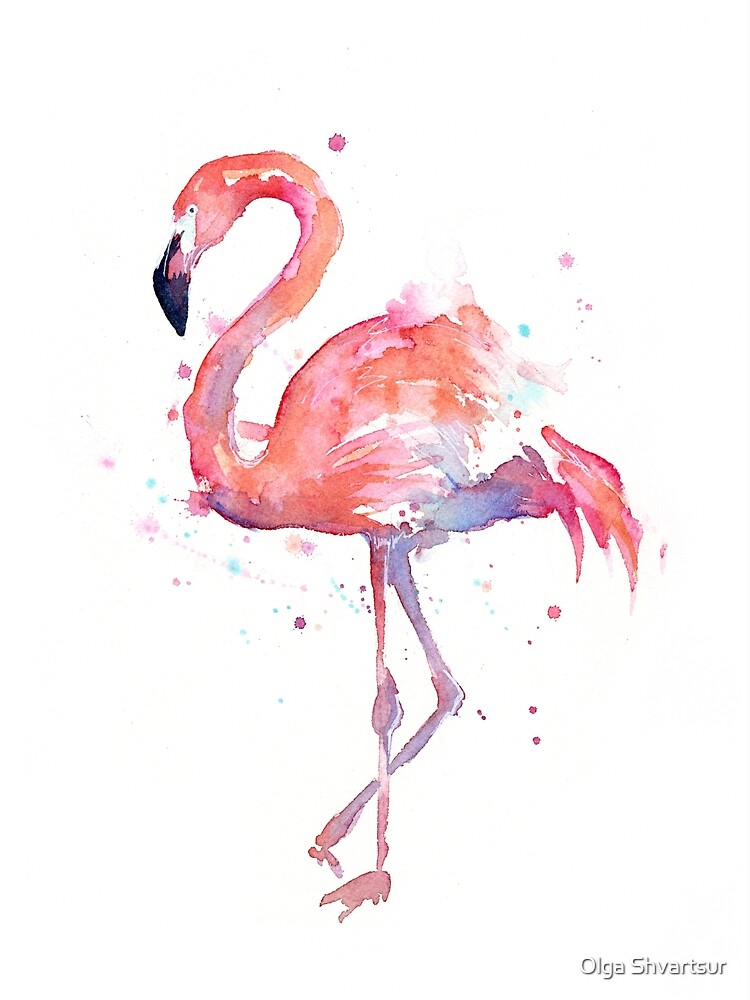Pink Flamingo Watercolor Illustration by olga-shvartsur