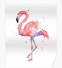Pink Flamingo Watercolor Illustration Poster