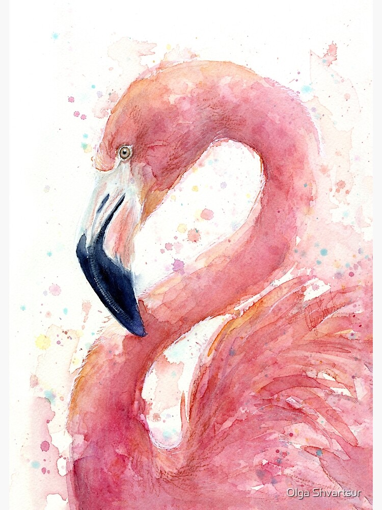 Flamingo Watercolor by olga-shvartsur