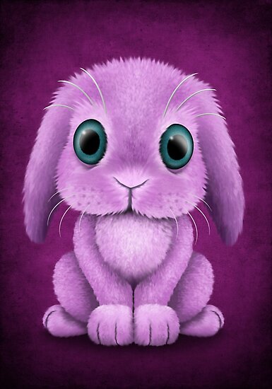 &Quot;Cute Purple Baby Bunny Rabbit &Quot; Photographic Print By Jeffbartels
