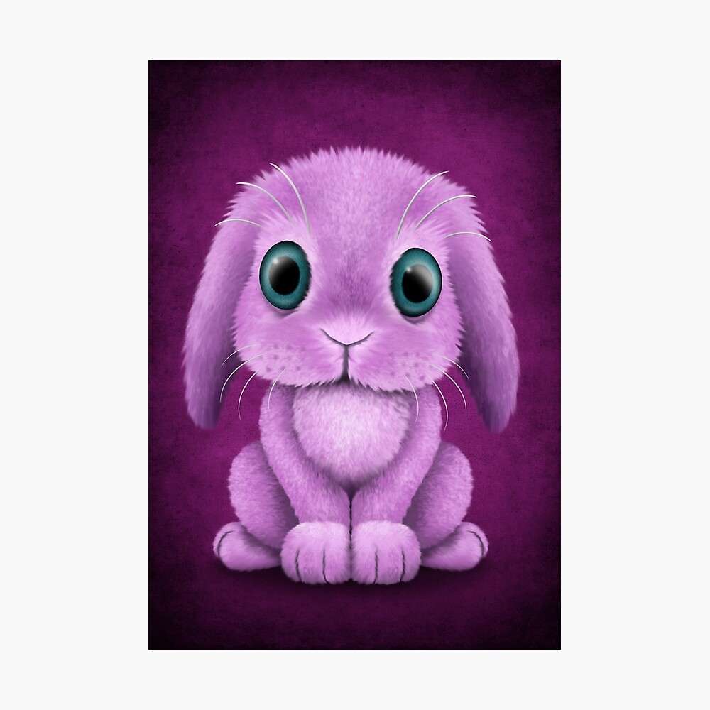 "Cute Purple Baby Bunny Rabbit " Photographic Print by JeffBartels