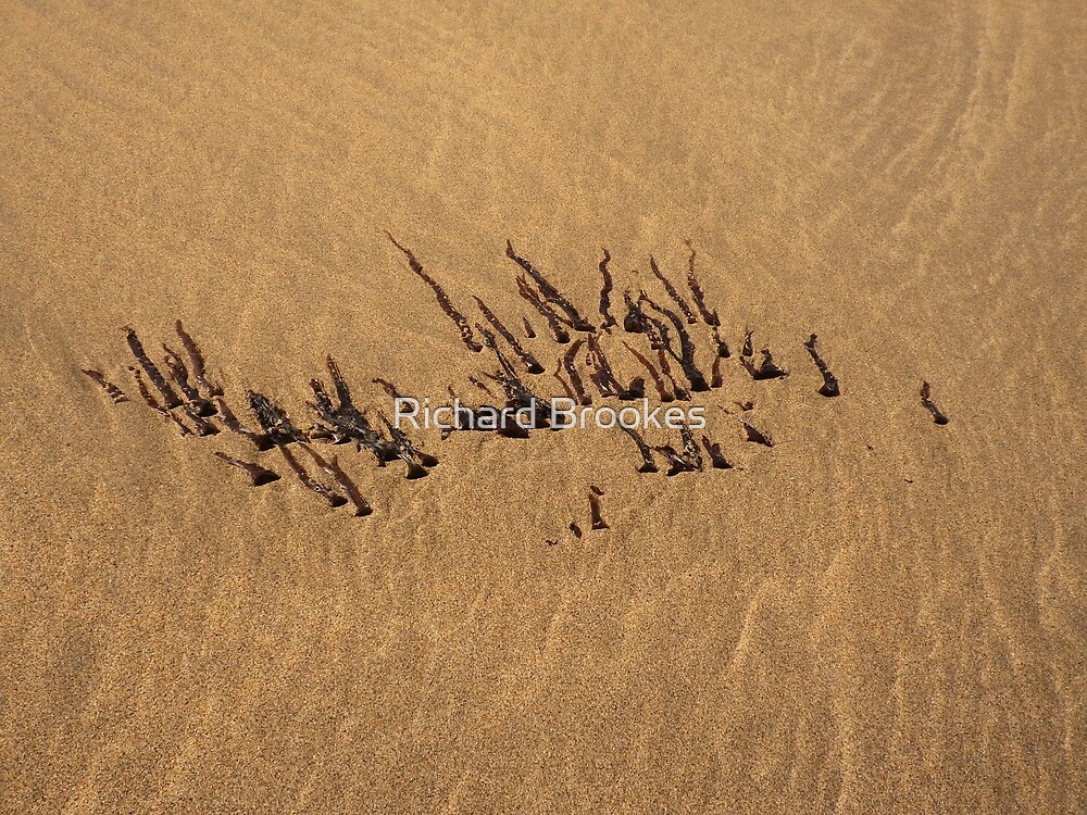 Sand Ripples And Seaweed By Richard Brookes Redbubble