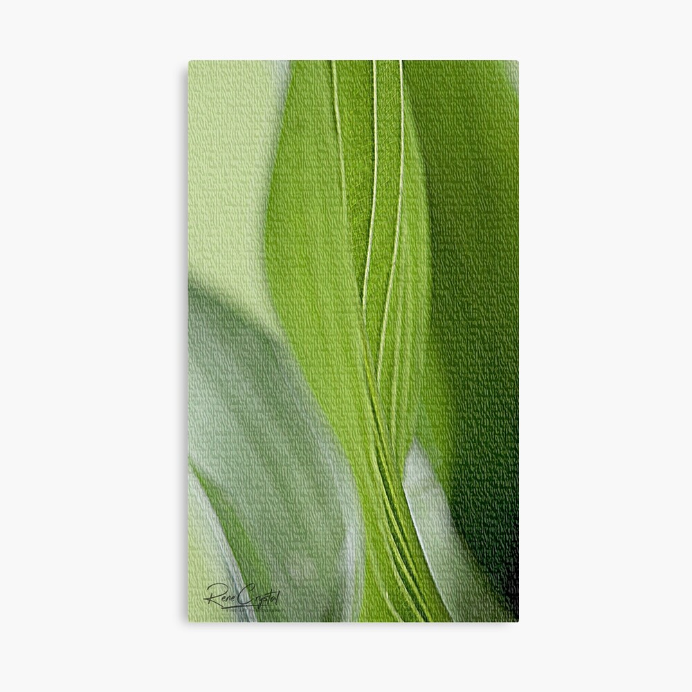 Here Comes Hosta! Canvas Print