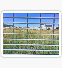 Grass Through The Grate Sticker