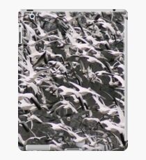Explosion iPad Case/Skin