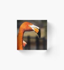 Flamingo Portrait Acrylic Block