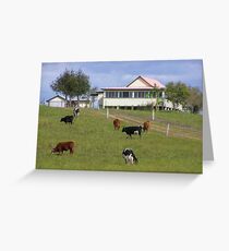 Queensland Scene Greeting Card