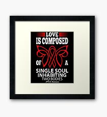 Love is Composed of a single soul inhabiting two Bodies. AIDS Awareness Quote Framed Print