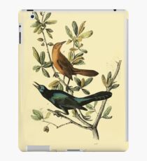 James Audubon Vector Rebuild - The Birds of America - From Drawings Made in the United States and Their Territories V 1-7 1840 - Boat Tailed Grackle iPad Case/Skin