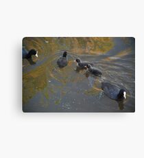 Good as Gold Canvas Print