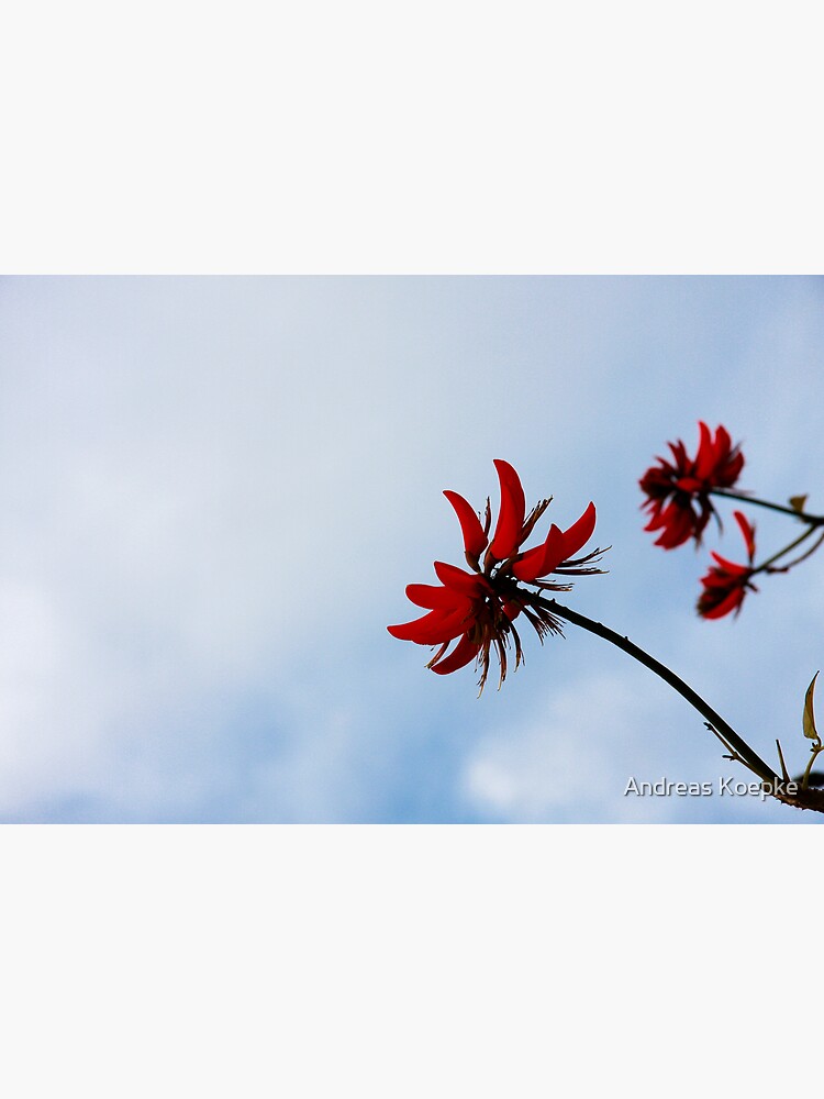 Red like fire by mistered
