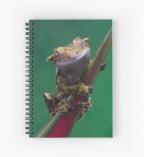 Cuaderno de espiral Super lindo gecko Crestado