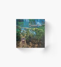 Sassafras Acrylic Block