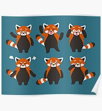 Ausdrücke des roten Pandas Poster