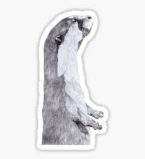 otter baby Sticker
