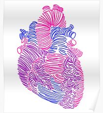 Bisexual Anatomical Heart Poster