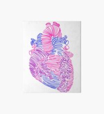 Bisexual Anatomical Heart Art Board