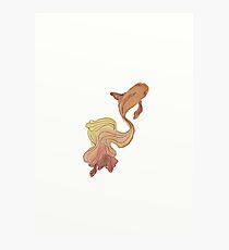 Pesce Rosso Photographic Print