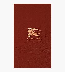 burbery brown Photographic Print