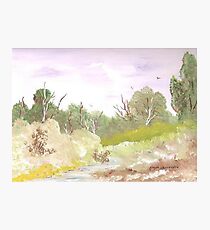 South Branch Photographic Print