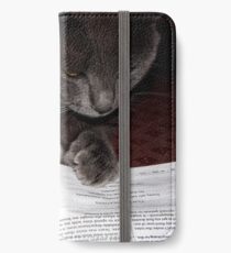 The Reader iPhone Wallet/Case/Skin