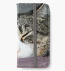 Dreaded Pirate Don Benito iPhone Wallet/Case/Skin