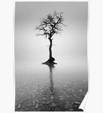 Loch Lomond Tree in the mist Poster