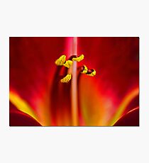 Pole Dancers Photographic Print