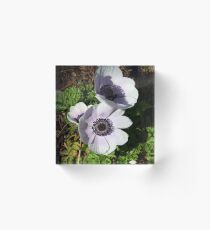 Flower Travelling Japan 13 Acrylic Block