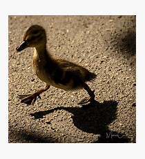 One Foot Forward Photographic Print