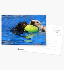 THE THIEF Postcards