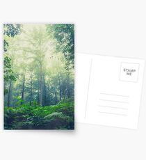 summer green Postcards