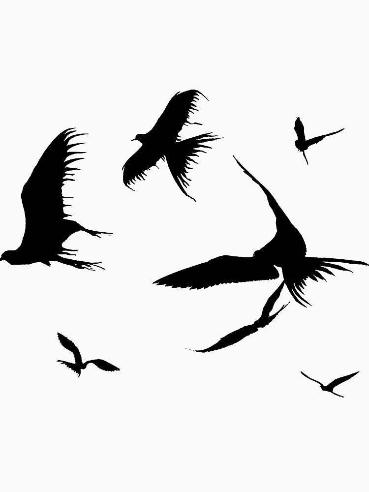 Frigate Birds by Etakeh