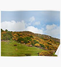 County Antrim Hills. Poster