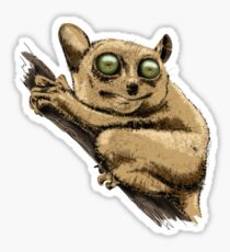 Tarsier Sticker