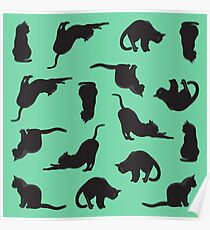 Cats Poster