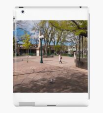 Central Plaza iPad Case/Skin