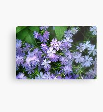 Periwinkle Metal Print