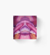 Pachyrhinosaurus Dino (Pattern) Acrylic Block