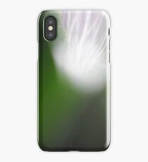 Clearing iPhone Case