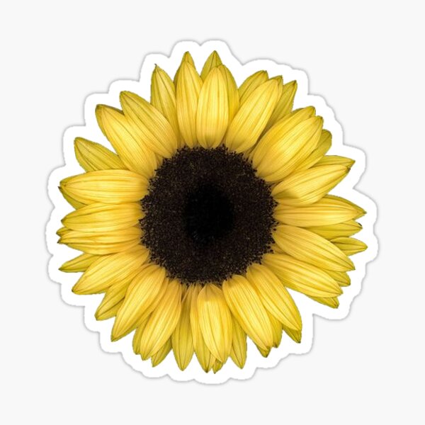 Small Sunflower Stickers | Redbubble