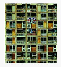 state dependant family Photographic Print