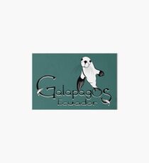 Galapagos Ecuador Sea Lion Art Board